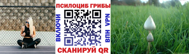 Галлюциногенные грибы прущие грибы  МЕГА онион  Бор 
