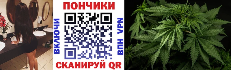 Каннабис индика  магазин продажи   Бор 